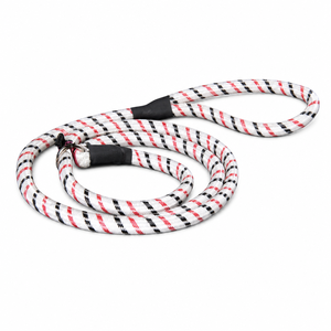Correa de Nailon para Perro con Diseño Floral Clásico, Resistente, Duradera, Ajustable, con Cierre de Gancho, Estilo Deportivo para Perros Medianos - Product Image 2