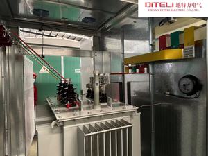 Diteli cung cấp điện áp cao 10KV/0.4kv Pad gắn hộp biến áp - Product Image 6