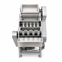 Machine à décortiquer les noix de cajou électrique automatique, haute productivité, petite décortiqueuse automatique de noix de cajou, moteur neuf ou d'occasion
