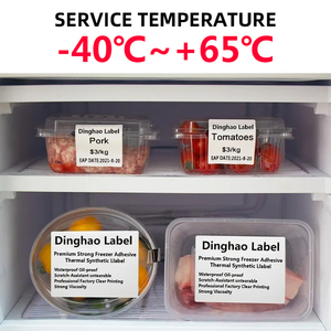 Tùy chỉnh kích thước 58x40 60x40 50x100 100x100 100x150 Tủ đông lớp nhãn trực tiếp nhiệt tổng hợp PP nhãn Tủ đông nhãn dán - Product Image 4
