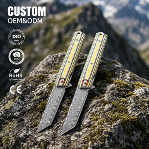 Couteau de poche tactique Tanto, couteau pliant en acier <span class=keywords><strong>Damas</strong></span> à 76 couches, cœur VG10, manche G10, couteau de survie, de chasse et de camping pour hommes DM031 - Product Image 1