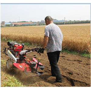 Equipo de granja pequeño 177F/<span class=keywords><strong>P</strong></span>, arado rotativo para tractor, 7HP, 9HP - Product Image 3