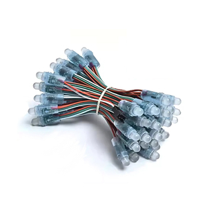 Module LED numérique adressable WS2811 2811 IC RGB pleine couleur 12 mm, 5V 12V, couleur de rêve, étanche IP68 - Product Image 1