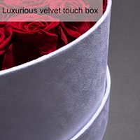 Roses éternelles naturelles préservées, 50 pièces, couleur blanche, dans une boîte ronde en velours, pour mariage, cadeaux d'anniversaire, femmes, mère, épouse