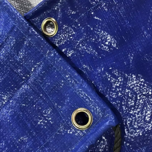 Vente chaude Transparent Gird Bâche Feuilles <span class=keywords><strong>Serre</strong></span> Couverture Jardin Fleur Hiver Isolation Pvc Bâche - Product Image 1