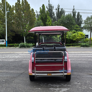 Voitures électriques classiques rétro élégantes les plus vendues, transport spécial électrique, voiture classique de luxe, voiture classique 11 places - Product Image 6
