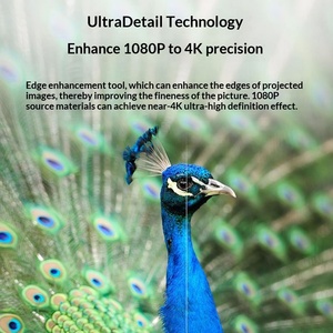 Projecteur Optoma JEV9160 Home <span class=keywords><strong>4K</strong></span> Ultra HD pour le cinéma à domicile et les jeux 240 Hz 3D CRT avec écran de projection - Product Image 3