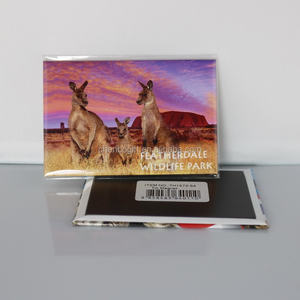 مصنع قوانغتشو رخيص صفيح ثلاجة مغناطيس متوسط الحجم ملصق مغناطيسي بنمط نبات من روسيا - Product Image 5