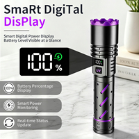Lampe torche détecteur UV portable USB rechargeable 365 nm avec indicateur de puissance numérique, étanche IP66 en alliage d'aluminium pour la détection d'urine canine et de jade