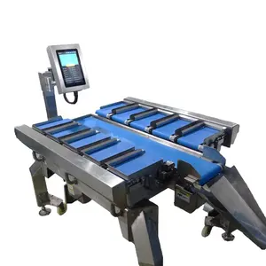 Waterproof Linear Combination Semi-Automatic Weigher Touchscreen LCD Conveyor Scale Potato OEM OBM Weight Scale Check Weigher