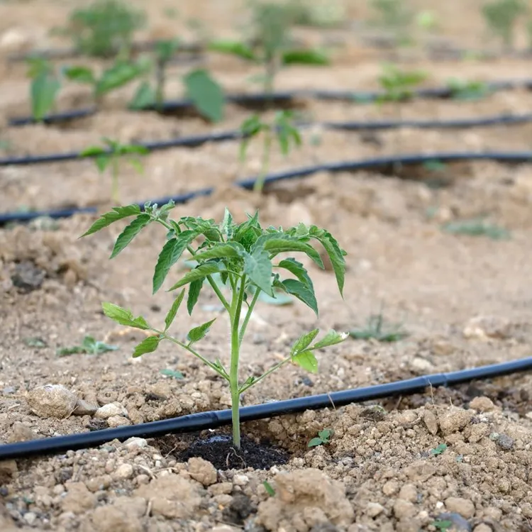 Fabricante rega agricultura gotejamento irrigação sistema 400 m mangueira gota irrigação tubos com gotejador embutido