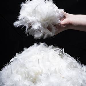 Pluma de ganso lavada, Material de relleno de plumas blancas/grises, calidad prémium, 4-6Cm/<span class=keywords><strong>2</strong></span>-4Cm - Product Image 6
