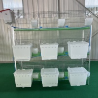 Meilleures ventes Nouvelle cage d'élevage de lapins de type H à 3 niveaux avec une longue durée de vie 2x0.5x1.75m Sol en plastique pour utilisation à la ferme