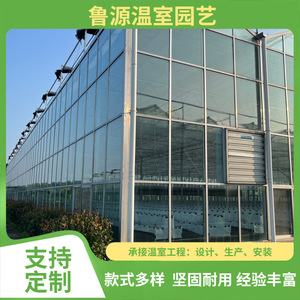 Serre agricole multi-chapelles Luyuan, grande taille, structure en acier, avec production d'énergie photovoltaïque - Product Image 2