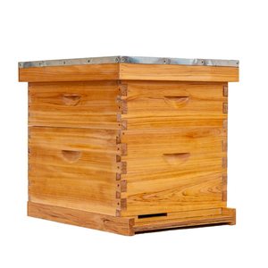 Ruche de haute qualité, nouvelle production, en bois de sapin enduit de cire, pour l'apiculture - Product Image 6