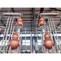 Dual 1000L Tanks Large Essential Oil Extraction Equipment, Distiller à la vapeur en continu pour hydrolat de plantes et de fleurs, personnalisable