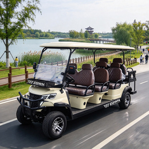 Voiture de golf électrique certifiée CE ZOWN 2/4/6 places, prix de gros, batterie au lithium, voiture de golf de tourisme - Product Image 1