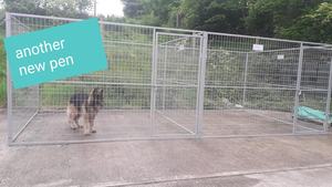 ขายส่งคุณภาพสูงขนาดใหญ่กลางแจ้งใช้ราคาถูกโลหะกรงสุนัขผู้ให้บริการสุนัขและแผงรั้ววิ่ง - Product Image 3