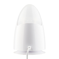 Appareil professionnel de soin du visage ionique chaud et froid, humidificateur facial nano à marque privée, alimentation électrique, usage domestique, certifié CE