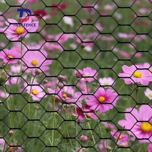 六角ワイヤーネット1インチ2インチチキンワイヤー48x100 1/2 PVCコーティングされた六角ワイヤーメッシュ - Product Image 5