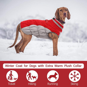 Vêtements d'hiver C076 pour chiens, résistants au vent et chauds, en coton rembourré, doublure polaire en polyester, rembourrage en duvet pour chats, protection pour Halloween - Product Image 4