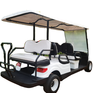 Carrito de Golf de 6 Plazas de 48V con Diseño Nuevo, Alta Calidad y Bajo Precio, con Faros LED y Toldo HKBG - Product Image 1