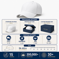 Casquette de baseball vierge personnalisable avec broderie de logo, en coton uni, 6 panneaux, visière incurvée réglable, couleur unie, unisexe, vente en gros, OEM, faible MOQ