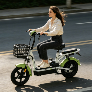 Vélo électrique urbain léger et durable en acier à haute teneur en carbone avec batterie au plomb-acide - Product Image 5