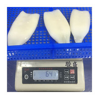 Calamars entiers surgelés U5 U7 U10 IQF sans peau, glacés, 80-100%, approvisionnement en vrac, fruits de mer de qualité supérieure
