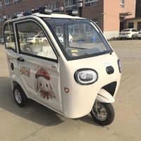 Triciclo Eléctrico de Cabina Cerrada de 800W, 2 Puertas, 3 Asientos, Scooter de Movilidad para Personas Mayores, para el Desplazamiento Diario Familiar, Compras, Recogida de Niños
