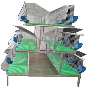 Cages de transport de poulets de chair automatiques pour la pose commerciale en usine cage pour lapins d'élevage à bon prix
