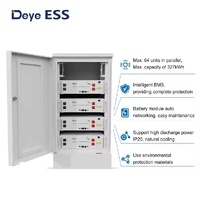 Batterie Deye SE-G5.1 Pro-B LiFePO4, pack de batteries 51,2V 100Ah, système de stockage d'énergie solaire hors réseau pour la maison
