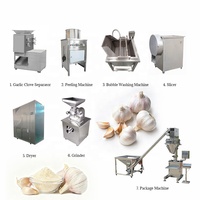 Équipement de Traitement de l'Ail de Qualité Supérieure, Machine à Fabriquer de la Poudre d'Ail, Ligne de Production de Poudre d'Ail