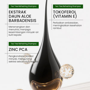 KORMESIC Shampoing Capillaire Rafraîchissant au Théier, Certifié Bpom, Vente en Gros, 500ml, Contrôle du Sébum, Doux et Non Irritant - Product Image 4