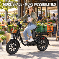 定制LIMING Yilan Princess Minako Monster Pro 500W 800W 1000W 1200W 1500W电动自行车16英寸通勤电动货运自行车