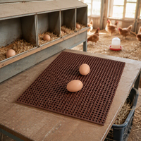 Nouveau tapis de nidification en PVC TPE, taille personnalisée, réutilisable, hygiénique, pour poulailler et poussinière