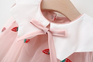 بيع بالجملة فستان اطفال سيدات زهرة الفتيات الكورية فساتين الاميرة الشيفون مع تصميم تطريز من الصين - Product Image 4