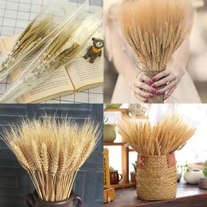 Fleurs décoratives pour mariage, 100 branches, <span class=keywords><strong>herbe</strong></span> de <span class=keywords><strong>blé</strong></span>, Pampas, fleurs de <span class=keywords><strong>blé</strong></span> séchées, décoration pour Table - Product Image 5