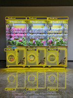 Machine à griffes à monnayeur pour peluches, design rose amour, pour centre de divertissement familial