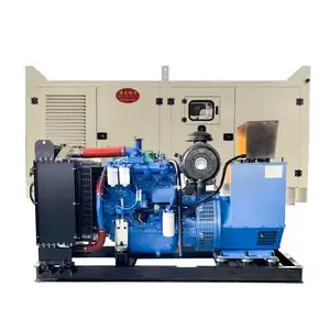 Best Manufacturer Of Diesel Generator Sound Proof 50 /60 Kw Kva Brushless Alternator Head 1500rpm 50hz Three-phase Single Bearin