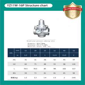 Katup Kontrol Tekanan Manual Stainless Steel 304/316 BSP NPT yang Dapat Disesuaikan, Katup Pengurang dan Pengatur Tekanan Air - Product Image 4