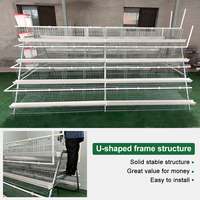 Nouvel équipement d'élevage avicole automatique pour poules pondeuses, système de poulailler moderne, cage en batterie pour poulets pondeurs, galvanisée