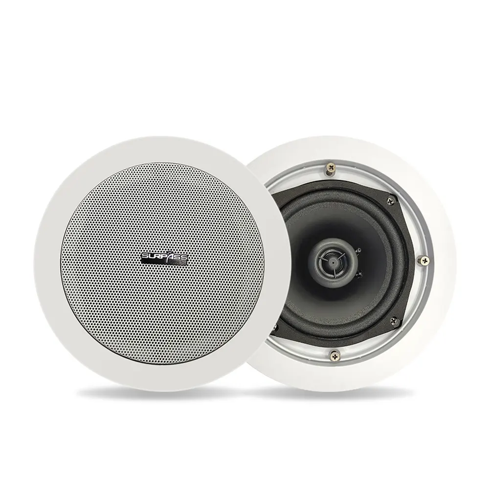 Voor Thuis/Winkelcentrum/Restaurant/Kantoor Overtreffen Hifi 5Inch Woofer + 1 Inch Tweeter Coaxiale In plafond Luidspreker