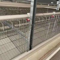 Cages à poulets de type H cage en grillage pour couveuse de poulets à couches d'œufs à vendre cages à poulets faites maison