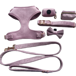 Ensemble de harnais en velours pour chien, laisse pour chien, collier pour chien, sac à caca, offre spéciale sur INS Pet Store, offre spéciale, propriétaire - Product Image 1