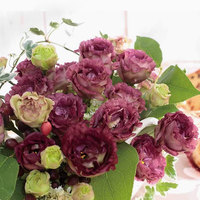 Asal usul Eustoma grandiflorum Varietas bunga berbunga dua kelopak dan mudah ditanam, cocok untuk bunga taman luar ruangan