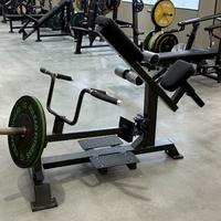 Machine à Rameuse T-Bar à Charge Libre Professionnelle, Direct Usine, Appareil de Renforcement Dorsal et Thoracique pour Salle de Sport et Studio de Fitness