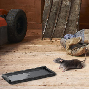 <b>Waterproof</b> Moisture-Proof Disposable Mouse Glue Board Strong Adhesive Indoor Mouse Trap for Home Pest Control <b>Spray</b> State - Product Image 5
