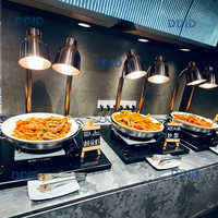 Catering Restaurant Hotel Service Uitrusting Voedselwarmer Voedselwarmerlamp Voedselverwarmingslampen Voedselverwarmingslamp Infraroodverwarmingslamp
