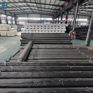 Doublure d'étang moderne en PVC PE à ventes élevées pour la ferme piscicole en plein air aquaculture barrages décharges projets miniers agriculture en HDPE étanche - Product Image 6